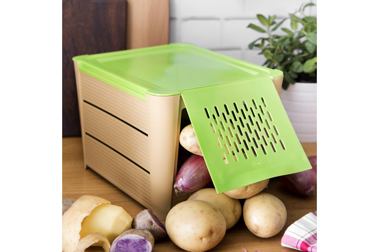 How to Store Potatoes For a Long Shelf Life Wayfair Canada